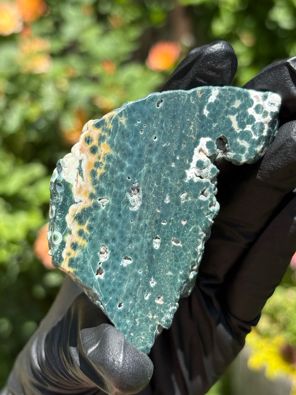 Ocean Jasper Crystal Slab - Polished Sea Jasper - Orbicular Jasper